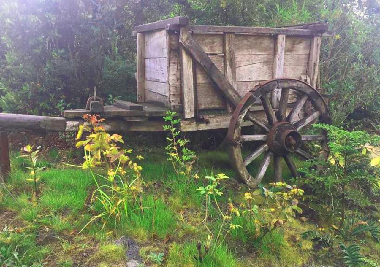 פורטו ואראס Cabanas Los Cantos Del Chucao מראה חיצוני תמונה